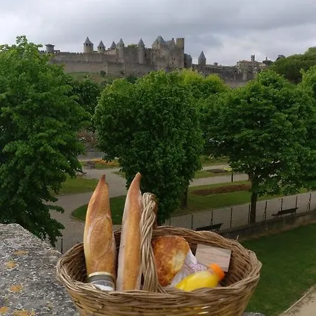 Au Cœur De La Barbacane ! Apt Avec Climatisation Carcassonne